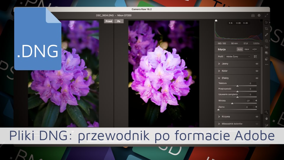 Pliki DNG: Przewodnik po Formacie Adobe