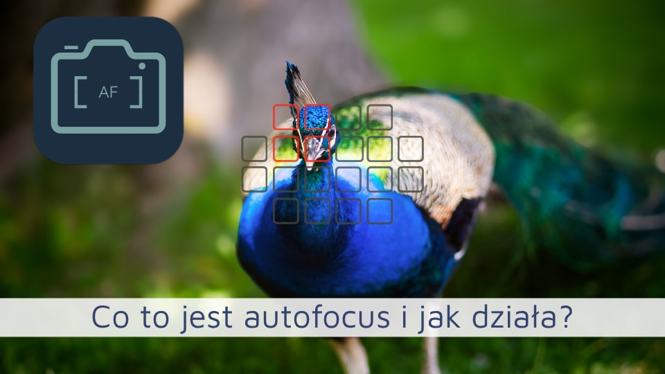 Co to jest autofocus i jak działa?