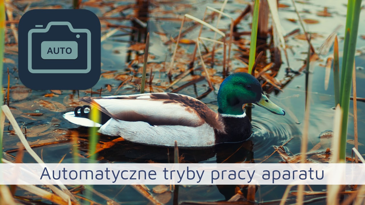 Automatyczne tryby pracy aparatu