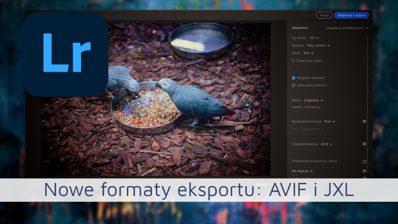Nowe Formaty Eksportu w Lightroom: AVIF i JXL
