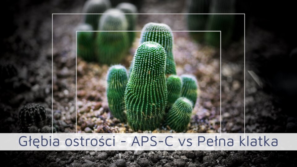 Głębia ostrości APS-C vs Pełna klatka – Jaka jest prawdziwa różnica?