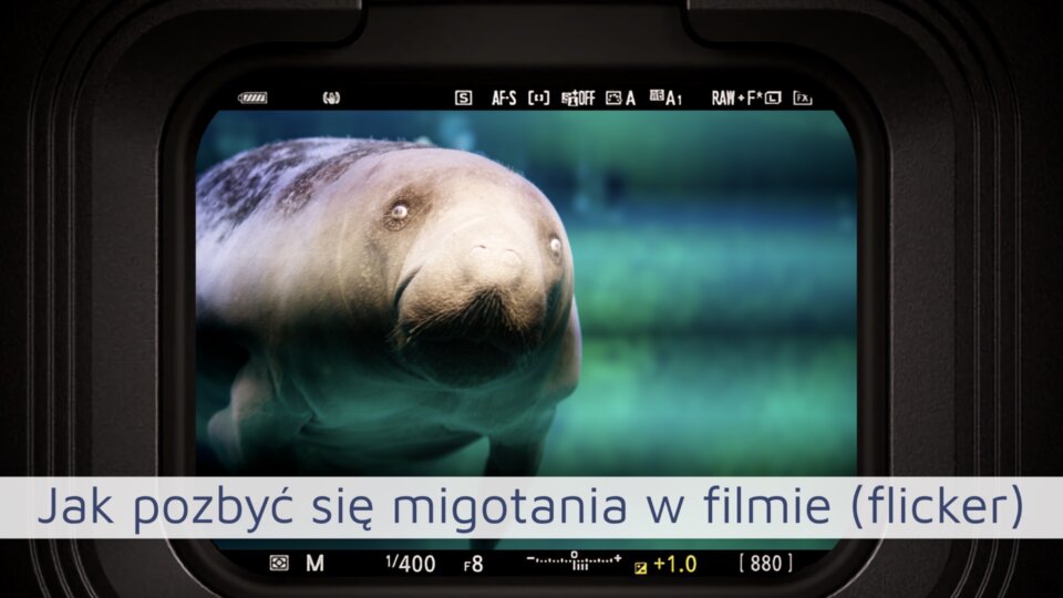 Jak pozbyć się efektu migotania w filmie?